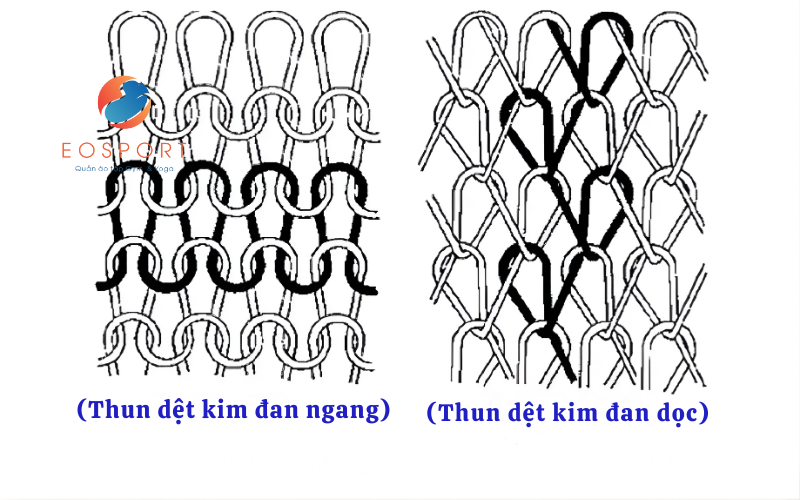 Cấu trúc thun dệt kim
